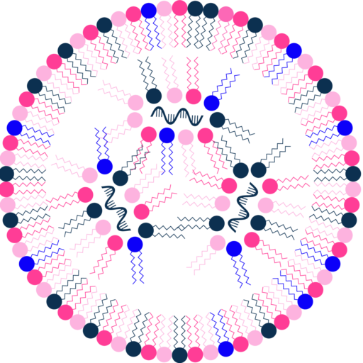 cropped-HW220702-LNP-Immunogenicity-and-Toxicity-logo-Favicon.png https://lnp-immunogenicity-toxicity-summit.com/wp-content/uploads/sites/813/2022/08/cropped-HW220702-LNP-Immunogenicity-and-Toxicity-logo-Favicon.png